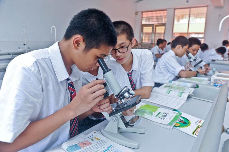 文化教育:承古纳今的桥梁